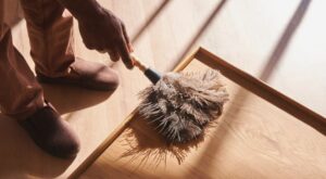 Guide to avoid cleaning dust at home