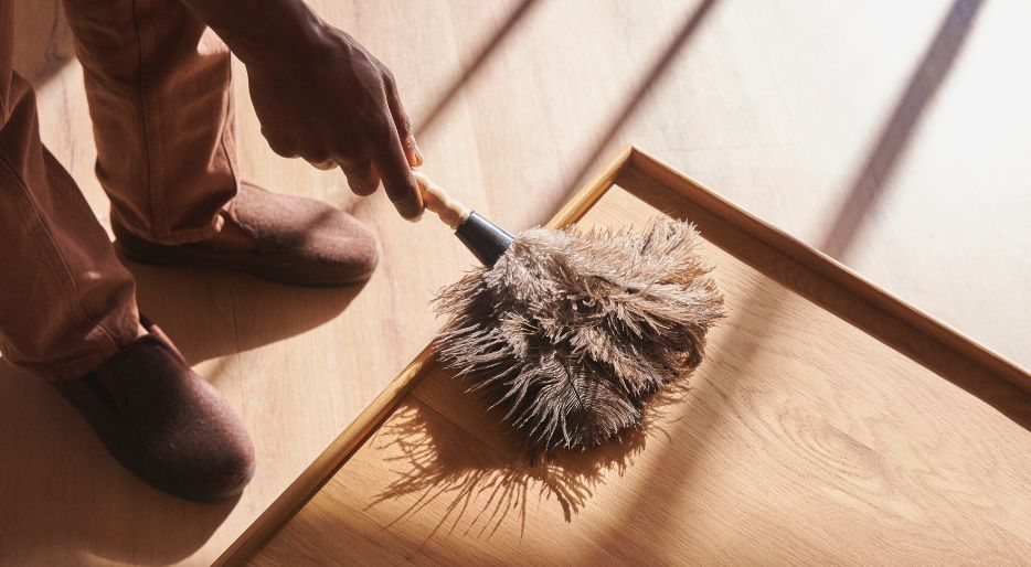 Guide to avoid cleaning dust at home