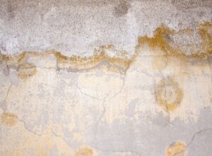 stains on wood are a clue that mold is present